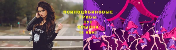 первитин Медногорск